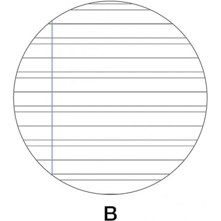 QUADERNO A4 RIGHE 3° ELEMENTARE